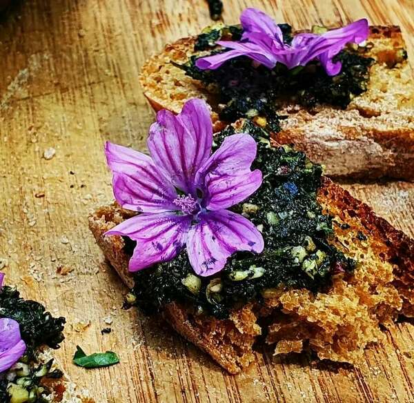 Quelques recettes à base d'ORTIE