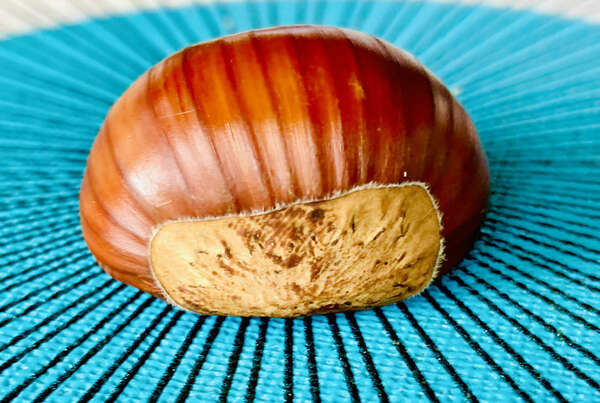 CUISINONS LA CHATAIGNE !