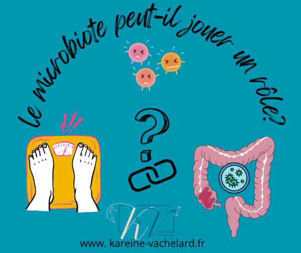 Est ce que le microbiote peut jouer un rôle dans la gestion du poids?