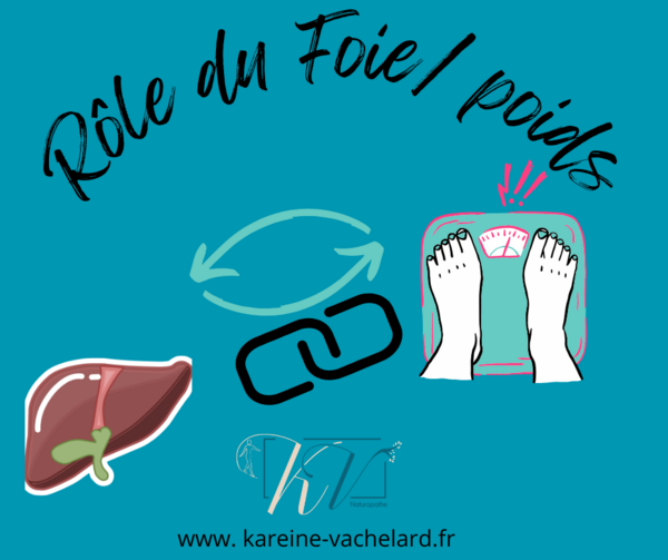 Votre foie vous parle... écoutez-le!