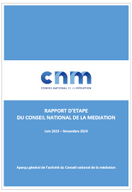 Rapport Etape Conseil National Médiation 2025