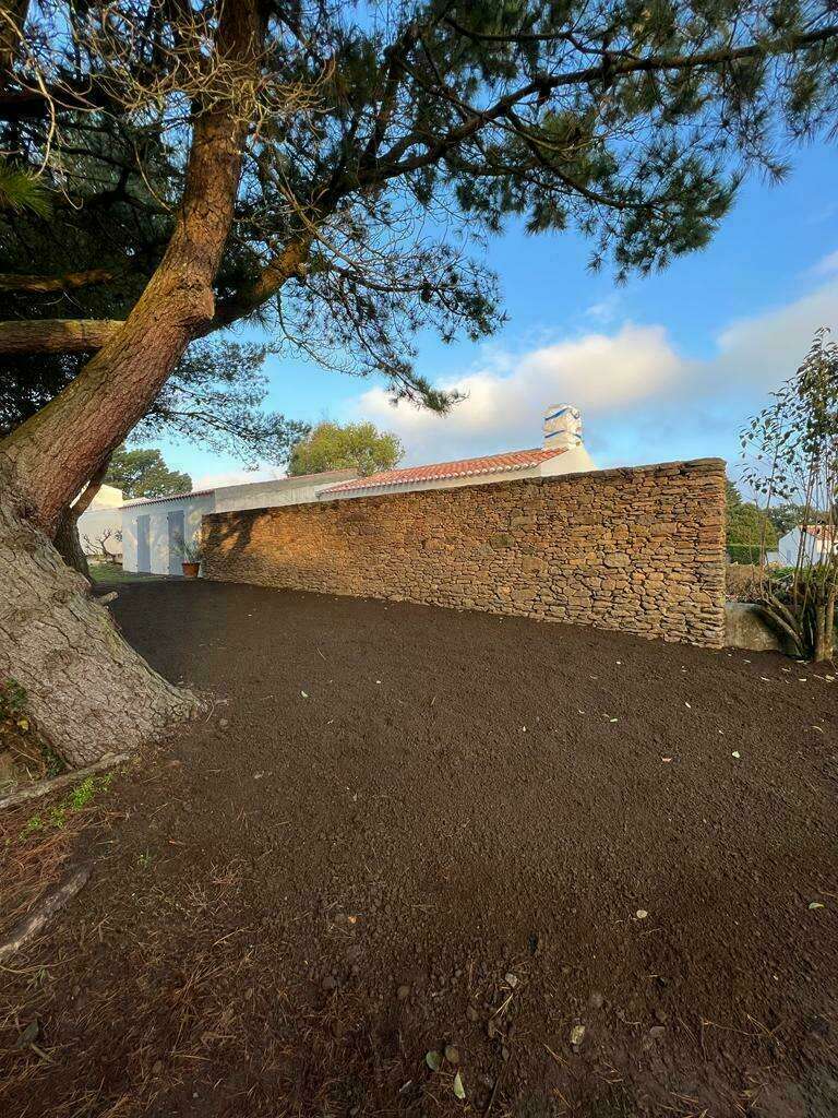 photo-2023-04-25-09-08-03__5_