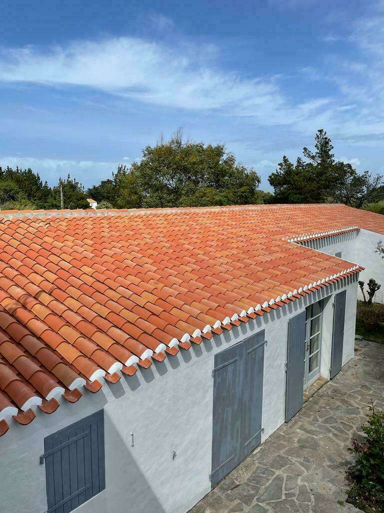 photo-2023-04-25-09-08-03__4_