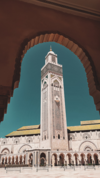 Masturbation en sexothérapie dans le droit islamique
