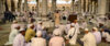 Masturbation en sexothérapie dans le droit islamique