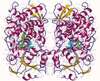 Médicaments et interactions avec CYP3A4