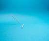implant contraceptif