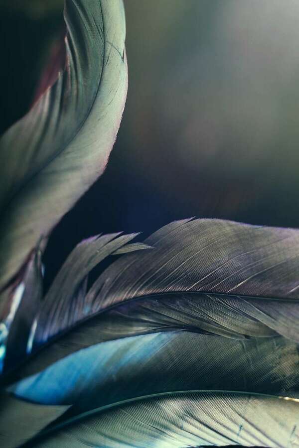 Les fondamentaux en santé intime