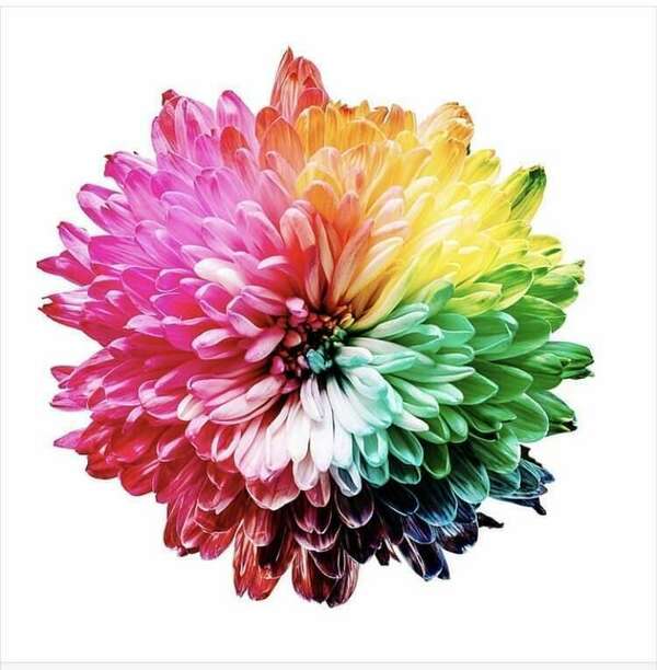 Séance de sophrologie en groupe à Meaux