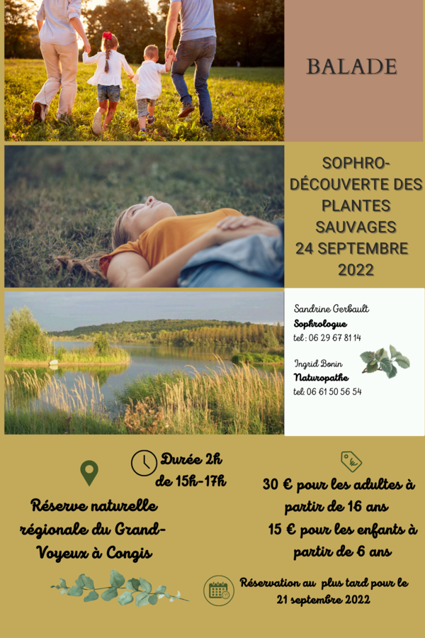 Sophro balade-cueillette de plantes sauvages