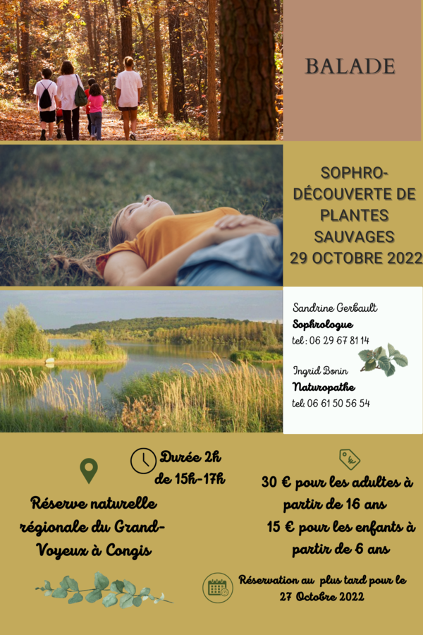 Sophro-balade et reconnaissance de plantes sauvages