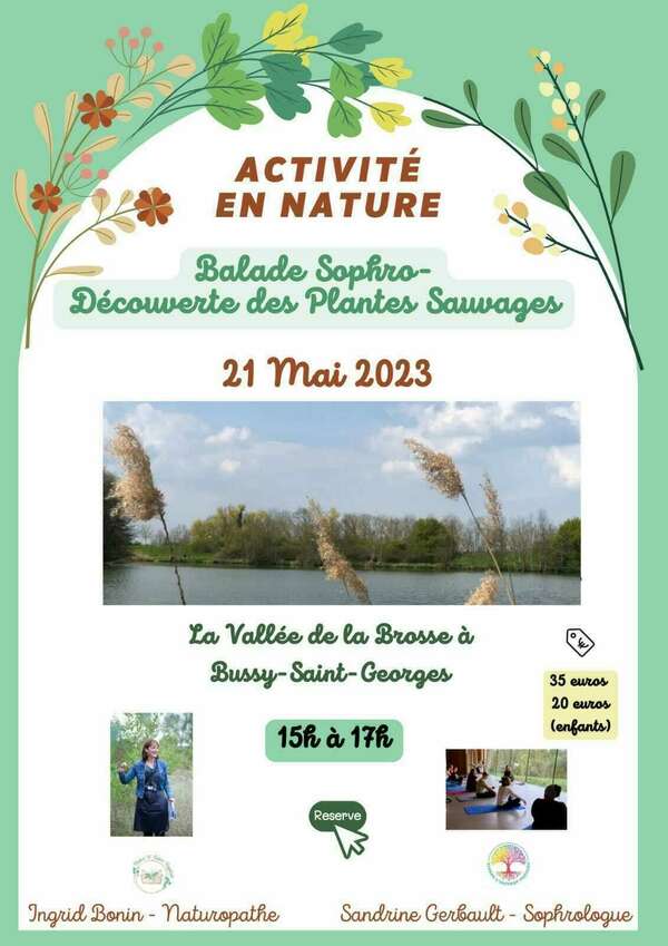 Activité en nature : Balade sophro