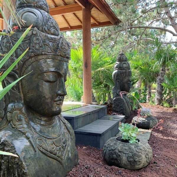 Séance de relaxation dans un jardin exotique