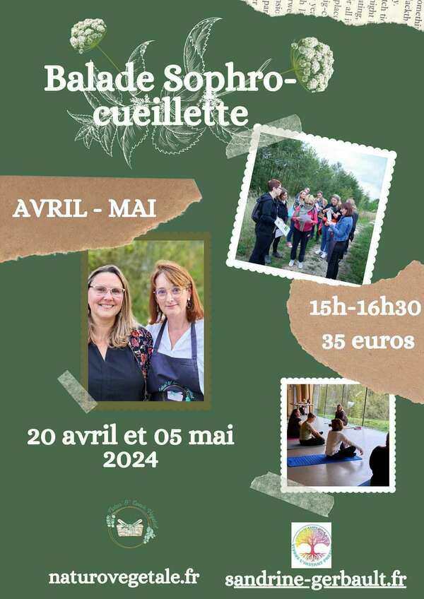 Balade sophro-découverte des plantes sauvages