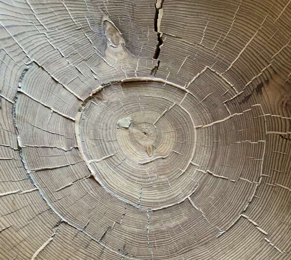 la libération du transgénérationnel