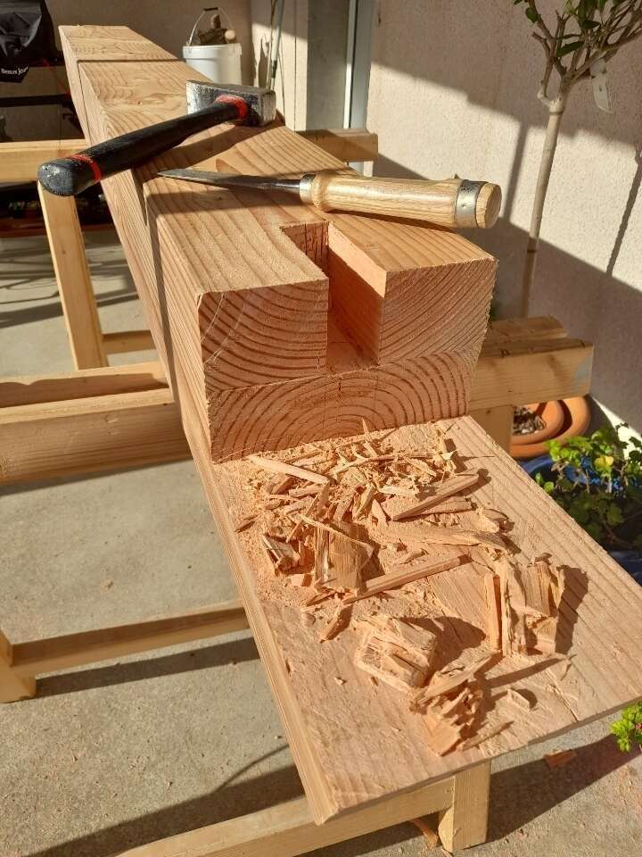 resized_20221110_13473720230713-3883196-1fjp7gh