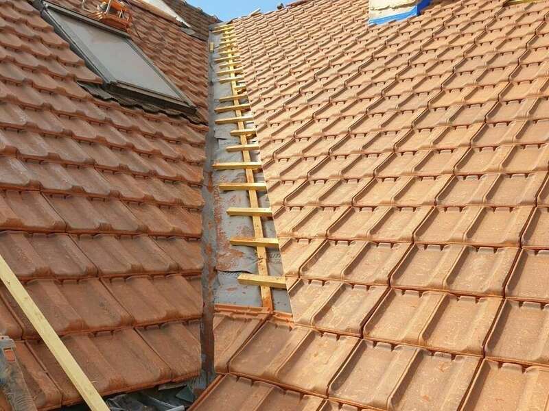 resized_20230919_1058521