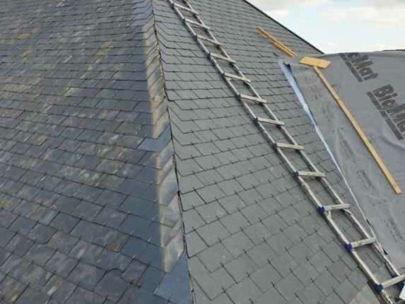 resized_20230524_1814211