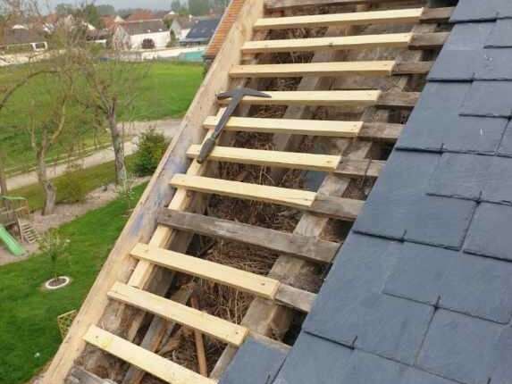 resized_20230502_1003161