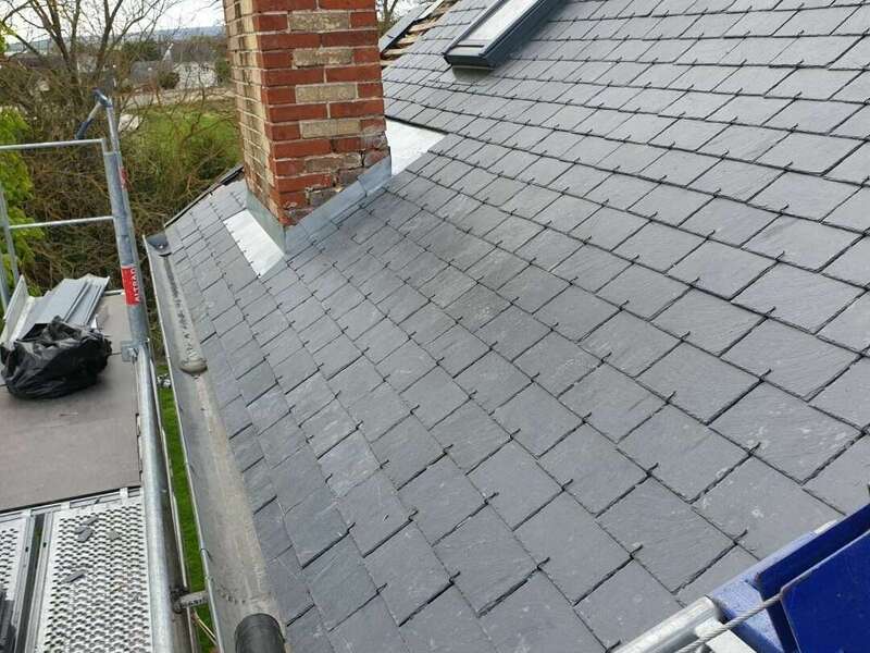 resized_20230427_1604521