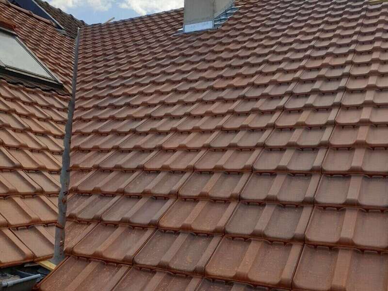 resized_20230919_1740181