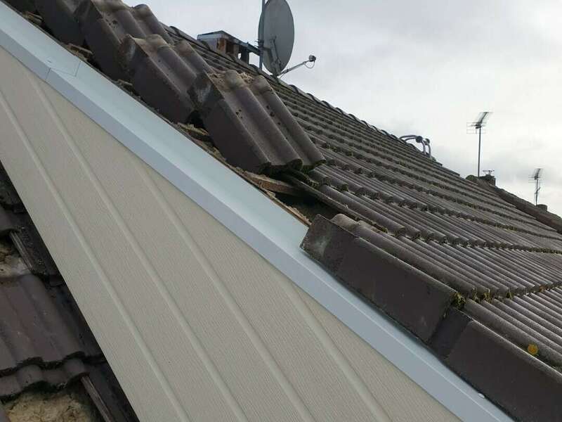 resized_20240212_1056171