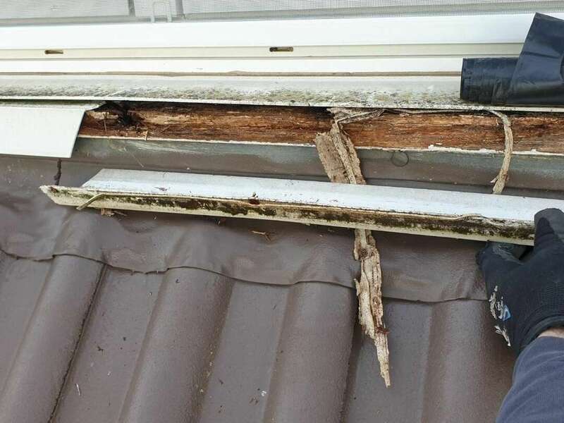 resized_20240129_1502131