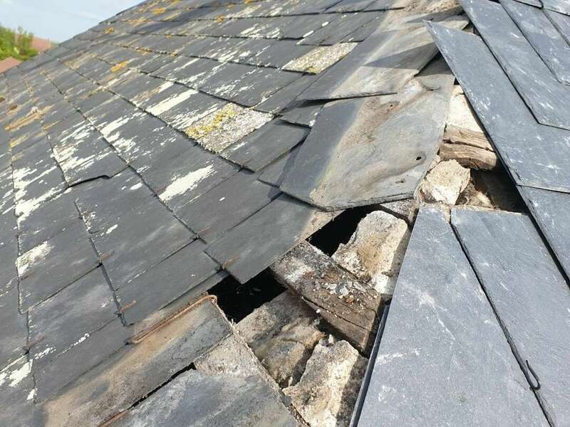 resized_20230524_1741281