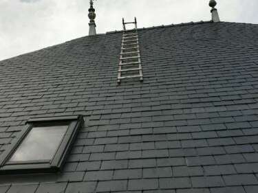 resized_20230427_1604581