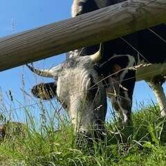 img_105320250312-3834618-1nvycju