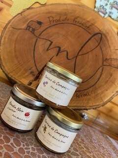 img_5229__1_20250312-3850271-2pz2gu