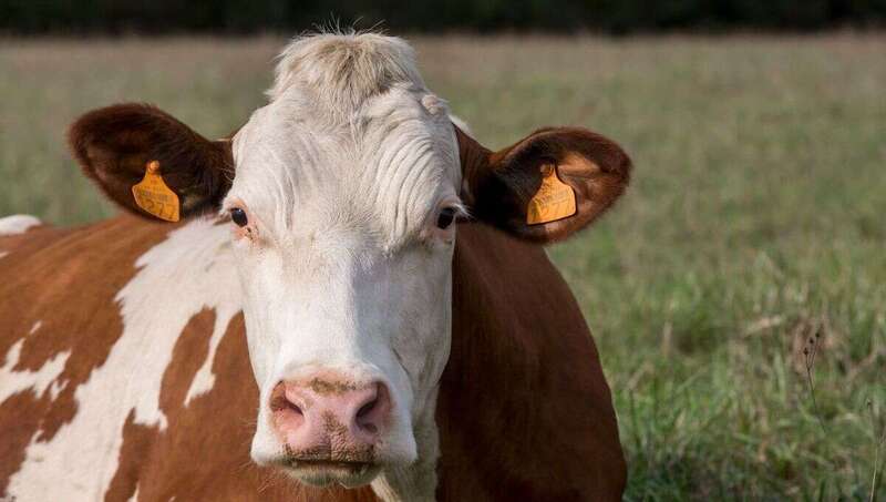 1200x680_maxwatier410933