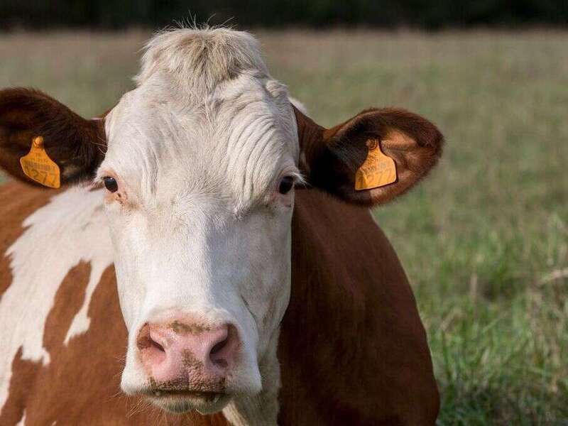 1200x680_maxwatier410933