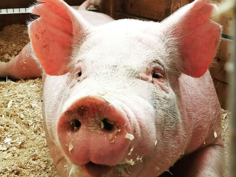 proxy-939d0fcb9956eb96e83a16ba57867bd5-og20250716-3774665-p3hfj1