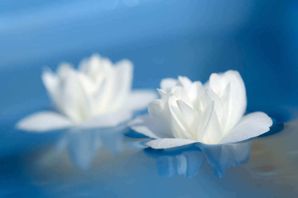 sérénité par le reiki