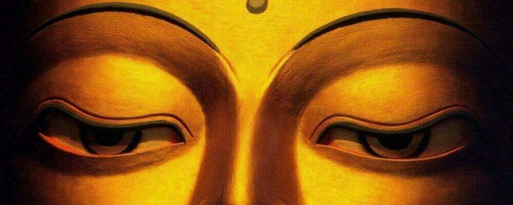 phenomenologie de l'abhidharma