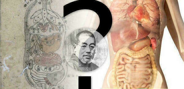 le vrai reiki d'usui