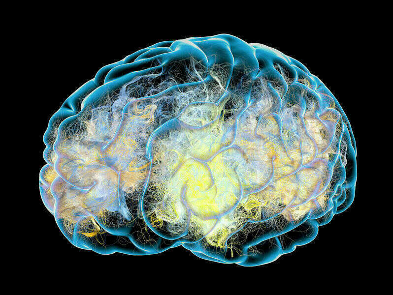 comment favoriser la neurogenese