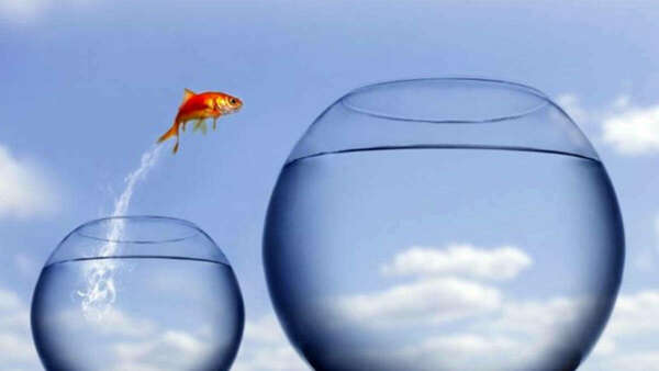 accompagner le changement de vie