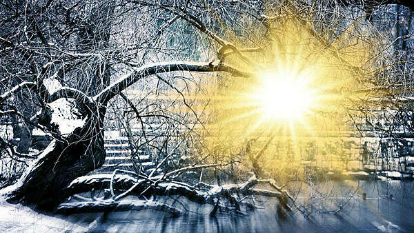 preparer ses defenses immunitaires