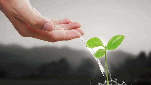 therapie preventive du reiki