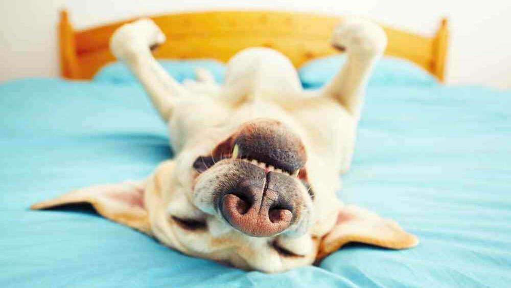 reussir a lacher prise avec le reiki