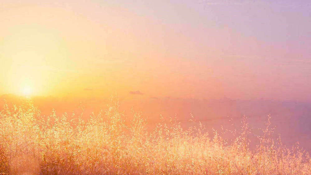 le reiki voie naturelle de guerison