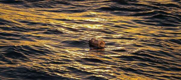 les derives du reiki