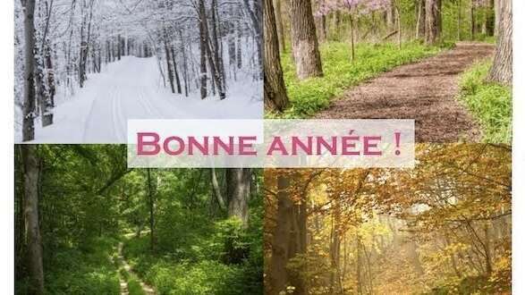 Bonne Année 2021 !