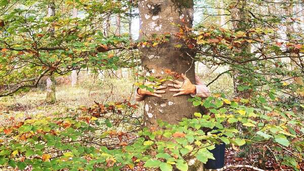 La Journée  # vous reprendrez bien un peu de douceur