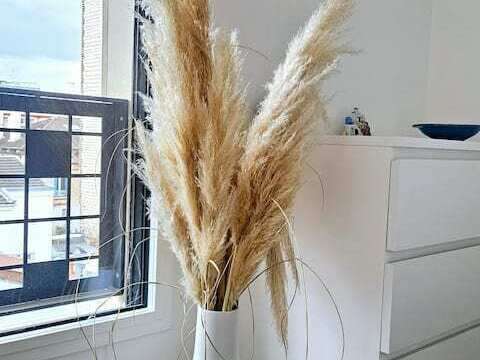 5e7d727d-9fd9-4de0-9375-533b1049bc00