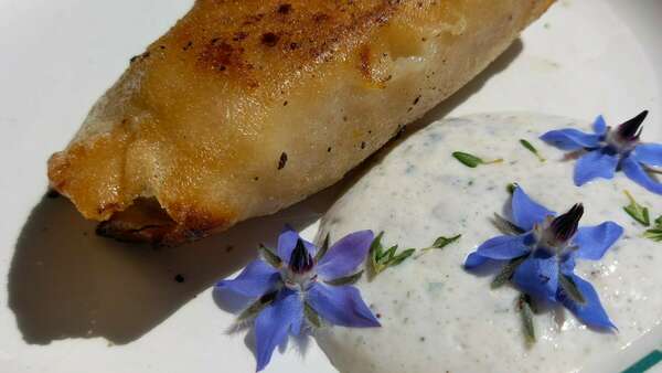 Sauce marine aux algues