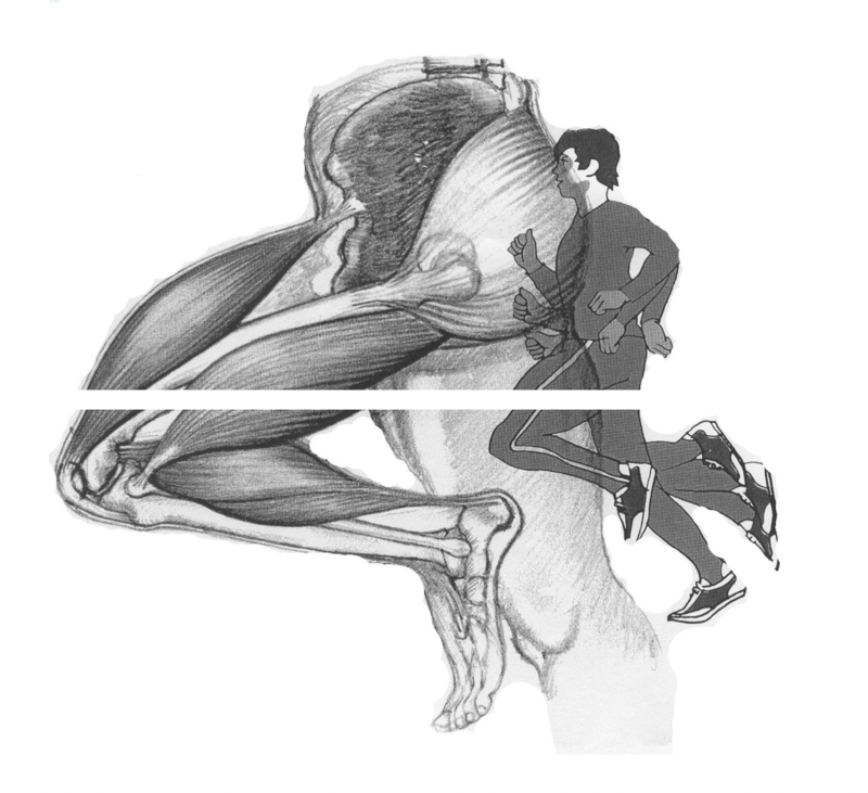 capture_d_ecran_2021-09-29_a_16-53-35