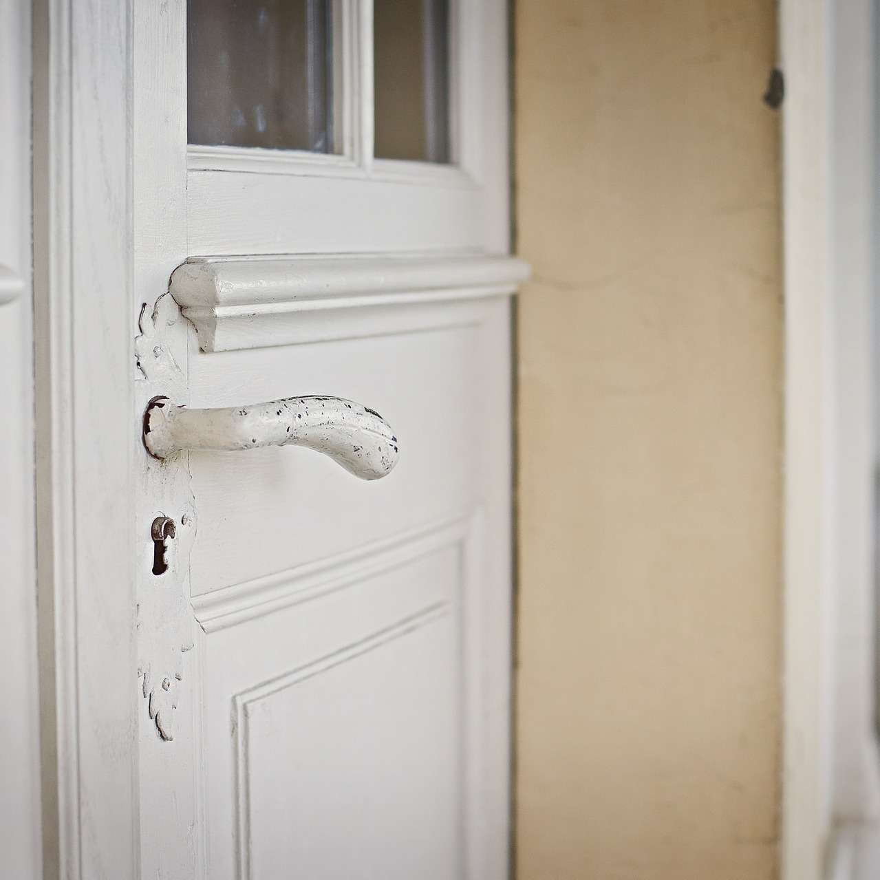 Porte en bois et menuiserie extérieure